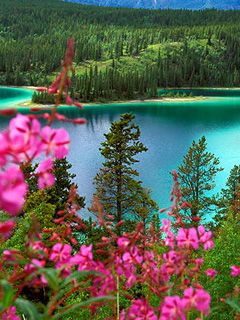 Emerald Lake