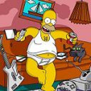 Homer Simpson