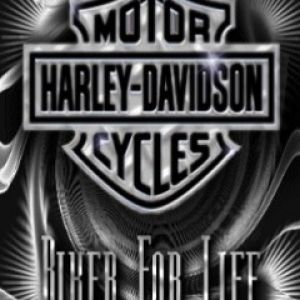 Harley Davidson