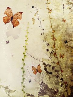 butterfly by volond