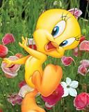 Tweety