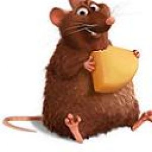 Ratatouille