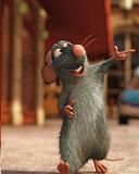 Ratatouille
