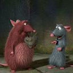 Ratatouille