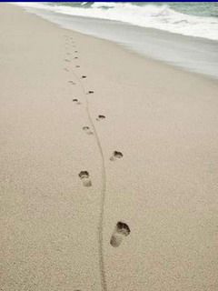 Footprint