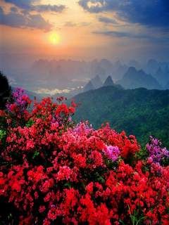 China