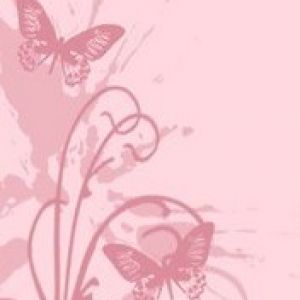 Pink Butterfly