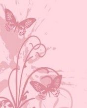 Pink Butterfly