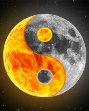 Yin-Yang