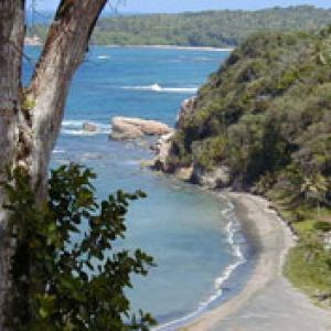 Dominica