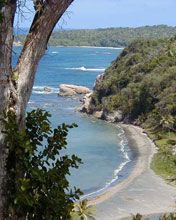 Dominica