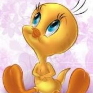 Tweety