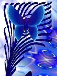 Blue butterfly