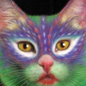 painted cat