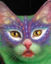 painted cat