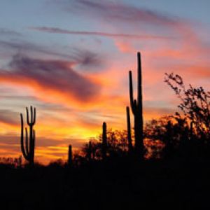 Arizona Sunset