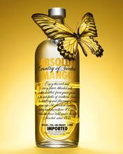 Absolut Mango