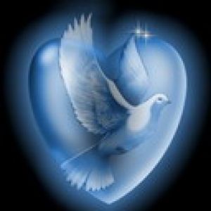 Dove