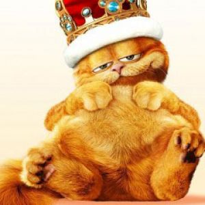 Garfield