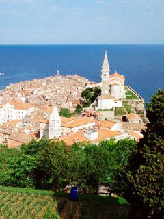 Piran - Slovenia 