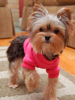 Izabella in pink tshirt