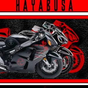 Hayabusa