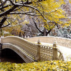 Early Snowfall - Central Park - New York