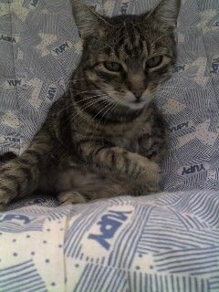 Micka