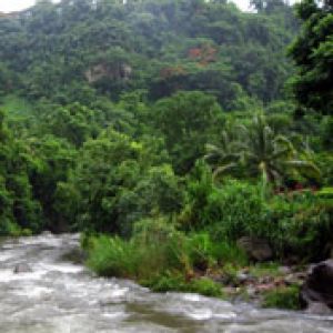 Dominica river