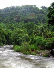Dominica river