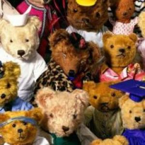 Teddys