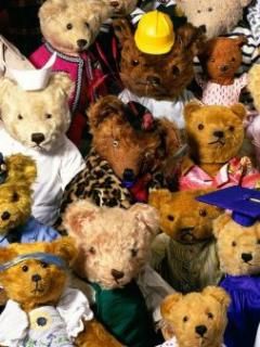 Teddys