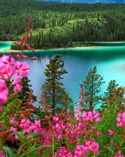 Emerald Lake