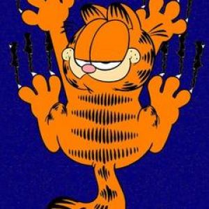 Garfield