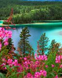 Emerald Lake