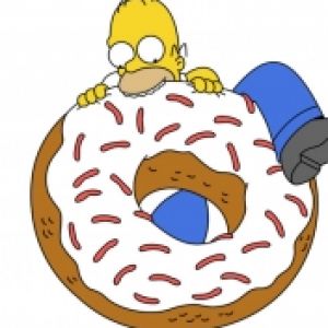 Homer - The Simpsons