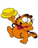 Garfield