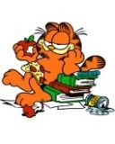 Garfield