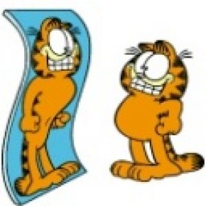 Garfield