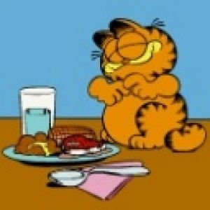 Garfield