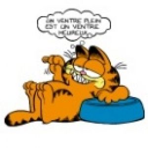 Garfield