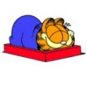 Garfield