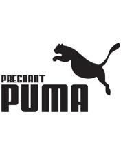 Pregnant Puma