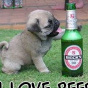 I love Beer