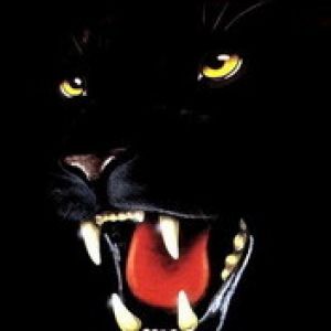 Panter