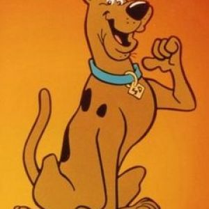 Scoobidoo