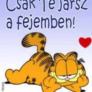 Garfield - Csak Te jĂˇrsz a fejemben