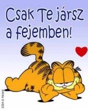 Garfield - Csak Te jĂˇrsz a fejemben