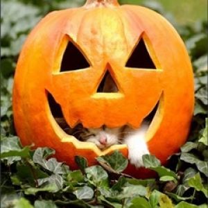 Hellowen