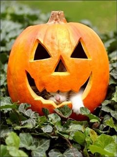 Hellowen
